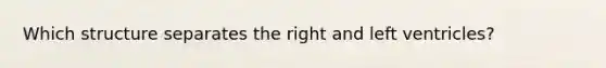 Which structure separates the right and left ventricles?