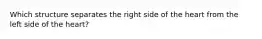 Which structure separates the right side of the heart from the left side of the heart?