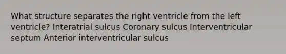 What structure separates the right ventricle from the left ventricle? Interatrial sulcus Coronary sulcus Interventricular septum Anterior interventricular sulcus