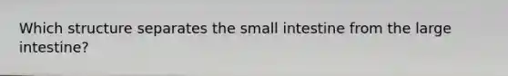 Which structure separates the small intestine from the large intestine?