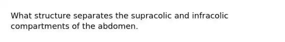 What structure separates the supracolic and infracolic compartments of the abdomen.