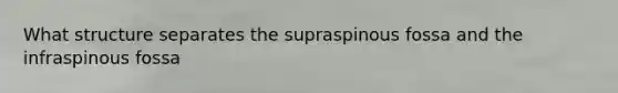 What structure separates the supraspinous fossa and the infraspinous fossa