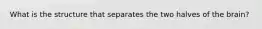 What is the structure that separates the two halves of the brain?