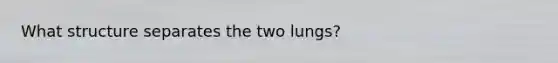 What structure separates the two lungs?