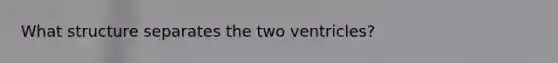 What structure separates the two ventricles?