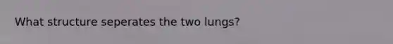 What structure seperates the two lungs?