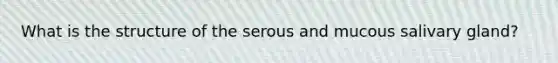 What is the structure of the serous and mucous salivary gland?