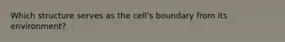 Which structure serves as the cell's boundary from its environment?