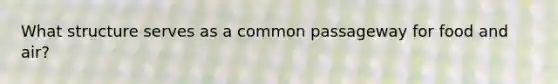 What structure serves as a common passageway for food and air?
