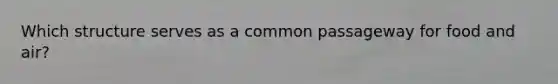 Which structure serves as a common passageway for food and air?