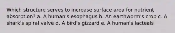 Which structure serves to increase surface area for nutrient absorption? a. A human's esophagus b. An earthworm's crop c. A shark's spiral valve d. A bird's gizzard e. A human's lacteals