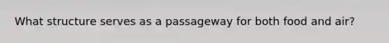 What structure serves as a passageway for both food and air?