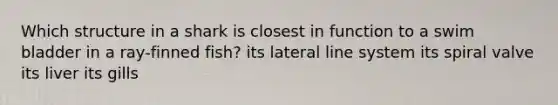 Which structure in a shark is closest in function to a swim bladder in a ray-finned fish? its lateral line system its spiral valve its liver its gills