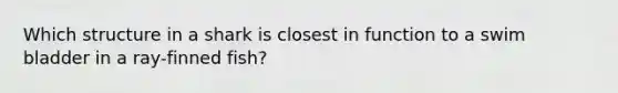 Which structure in a shark is closest in function to a swim bladder in a ray-finned fish?