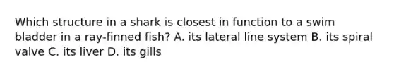 Which structure in a shark is closest in function to a swim bladder in a ray-finned fish? A. its lateral line system B. its spiral valve C. its liver D. its gills