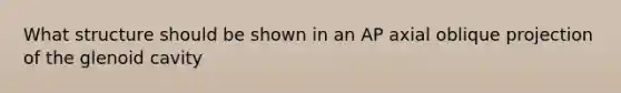 What structure should be shown in an AP axial oblique projection of the glenoid cavity