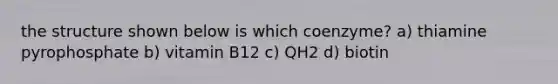 the structure shown below is which coenzyme? a) thiamine pyrophosphate b) vitamin B12 c) QH2 d) biotin