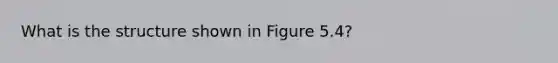 What is the structure shown in Figure 5.4?