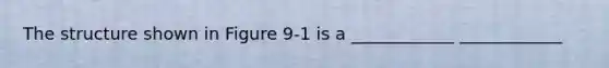 The structure shown in Figure 9-1 is a ____________ ____________