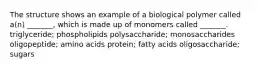 The structure shows an example of a biological polymer called a(n) _______, which is made up of monomers called _______. triglyceride; phospholipids polysaccharide; monosaccharides oligopeptide; amino acids protein; fatty acids oligosaccharide; sugars