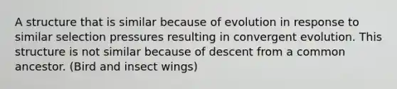 A structure that is similar because of evolution in response to similar selection pressures resulting in convergent evolution. This structure is not similar because of descent from a common ancestor. (Bird and insect wings)