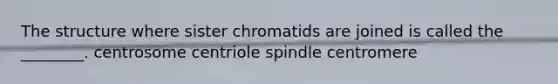 The structure where sister chromatids are joined is called the ________. centrosome centriole spindle centromere