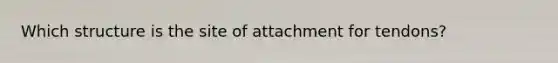 Which structure is the site of attachment for tendons?