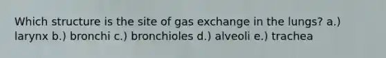 Which structure is the site of gas exchange in the lungs? a.) larynx b.) bronchi c.) bronchioles d.) alveoli e.) trachea