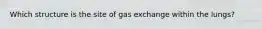 Which structure is the site of gas exchange within the lungs?