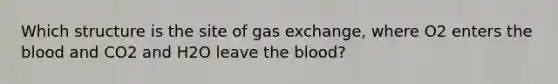 Which structure is the site of gas exchange, where O2 enters the blood and CO2 and H2O leave the blood?