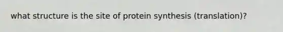 what structure is the site of protein synthesis (translation)?