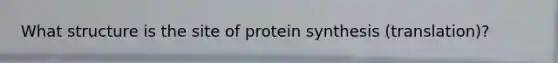 What structure is the site of protein synthesis (translation)?