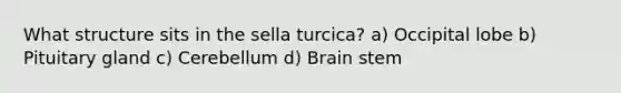 What structure sits in the sella turcica? a) Occipital lobe b) Pituitary gland c) Cerebellum d) Brain stem