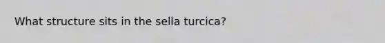 What structure sits in the sella turcica?