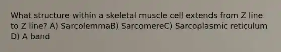 What structure within a skeletal muscle cell extends from Z line to Z line? A) SarcolemmaB) SarcomereC) Sarcoplasmic reticulum D) A band