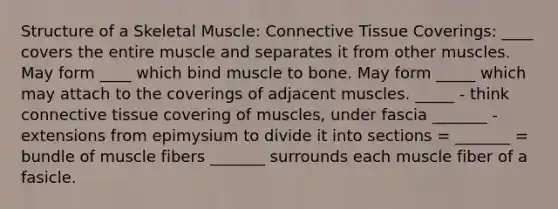 Structure of a Skeletal Muscle: Connective Tissue Coverings: ____ covers the entire muscle and separates it from other muscles. May form ____ which bind muscle to bone. May form _____ which may attach to the coverings of adjacent muscles. _____ - think connective tissue covering of muscles, under fascia _______ - extensions from epimysium to divide it into sections = _______ = bundle of muscle fibers _______ surrounds each muscle fiber of a fasicle.