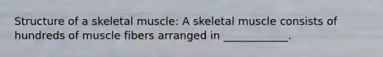 Structure of a skeletal muscle: A skeletal muscle consists of hundreds of muscle fibers arranged in ____________.