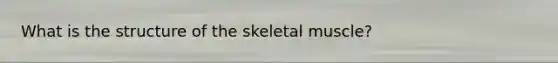 What is the structure of the skeletal muscle?