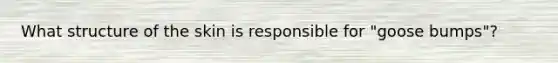 What structure of the skin is responsible for "goose bumps"?