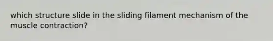 which structure slide in the sliding filament mechanism of the muscle contraction?