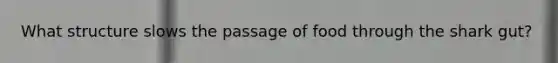 What structure slows the passage of food through the shark gut?