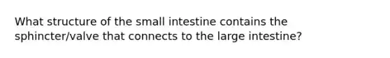 What structure of the small intestine contains the sphincter/valve that connects to the large intestine?