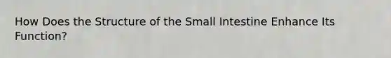 How Does the Structure of the Small Intestine Enhance Its Function?