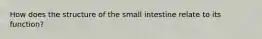 How does the structure of the small intestine relate to its function?