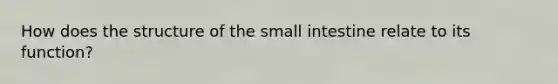 How does the structure of the small intestine relate to its function?