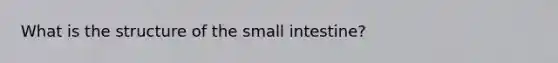 What is the structure of the small intestine?