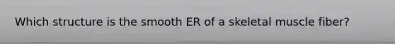 Which structure is the smooth ER of a skeletal muscle fiber?