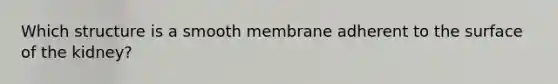 Which structure is a smooth membrane adherent to the surface of the kidney?