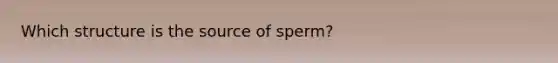 Which structure is the source of sperm?