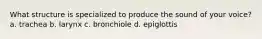 What structure is specialized to produce the sound of your voice? a. trachea b. larynx c. bronchiole d. epiglottis